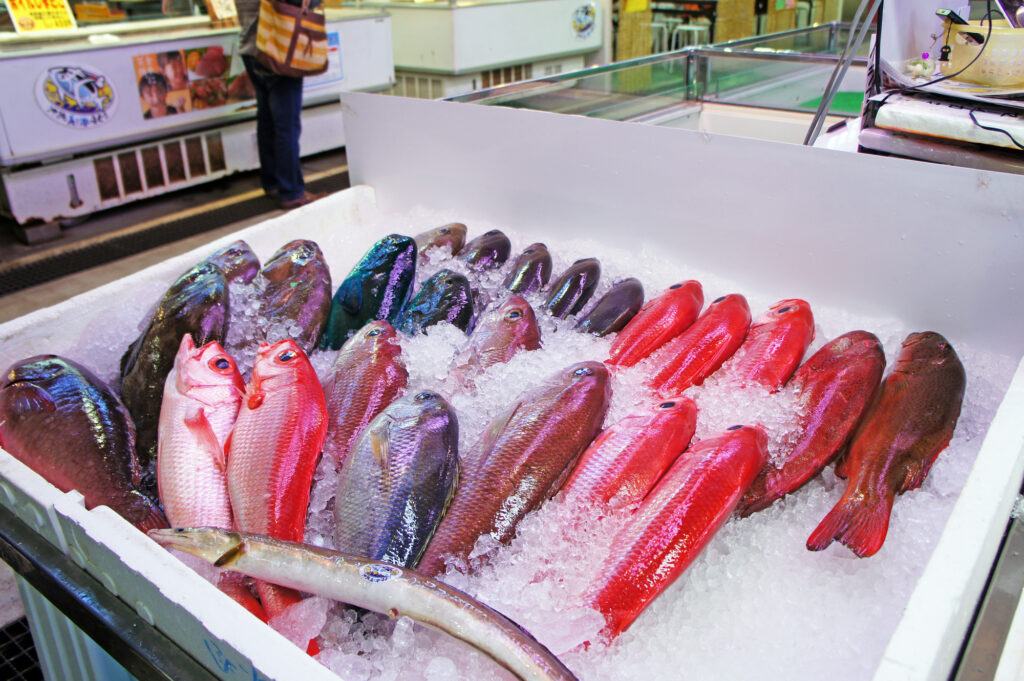 泊いゆまち市場の商品の魚